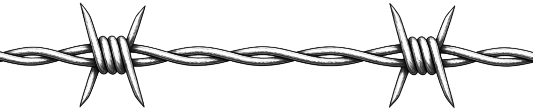 Barbed Wire Band