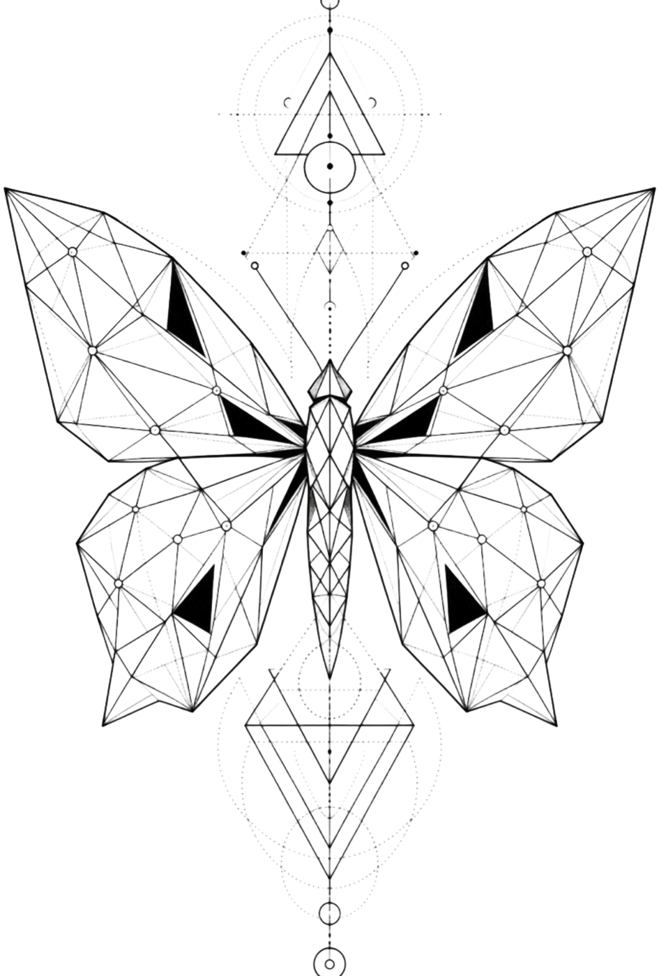 Geometric Butterfly